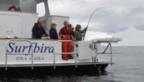 SURFBIRD transom and fishing